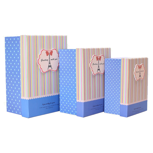 Packaging Shoe Box 31134